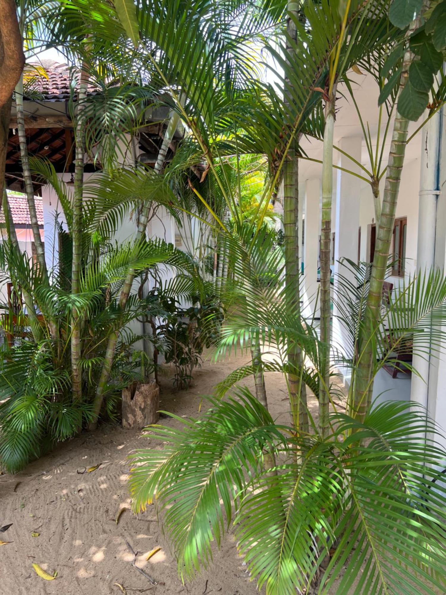 Hotel Moxy Bay Arugambay Arugam Bay Exterior foto