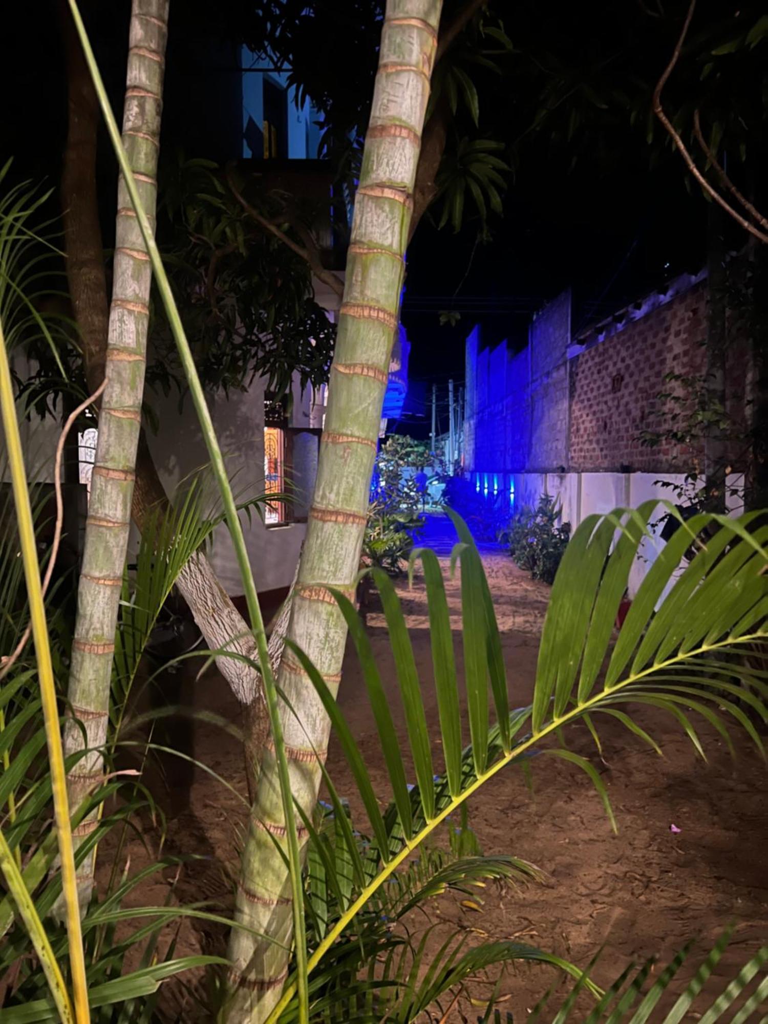 Hotel Moxy Bay Arugambay Arugam Bay Exterior foto